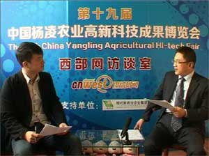 滚球买球的app官网