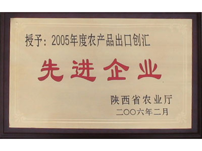 滚球买球的app官网