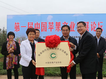滚球买球的app官网