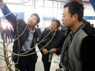 滚球买球的app官网