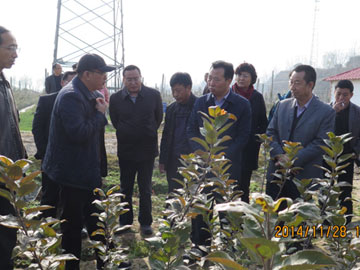 滚球买球的app官网