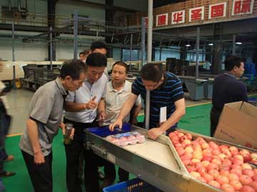 滚球买球的app官网