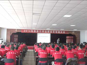 滚球买球的app官网