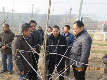 滚球买球的app官网