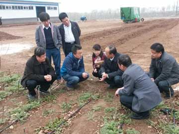 滚球买球的app官网
