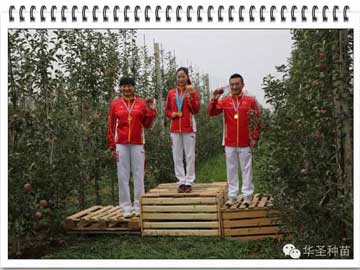 滚球买球的app官网