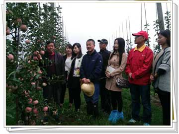 滚球买球的app官网