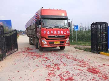 滚球买球的app官网
