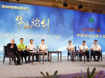 滚球买球的app官网