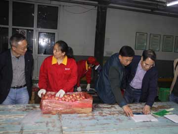 滚球买球的app官网