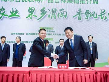 滚球买球的app官网