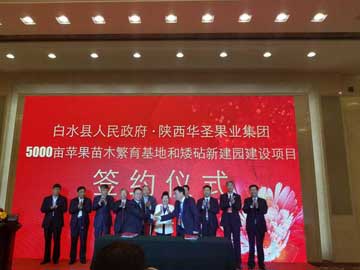 滚球买球的app官网