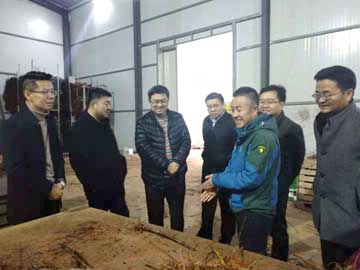 滚球买球的app官网