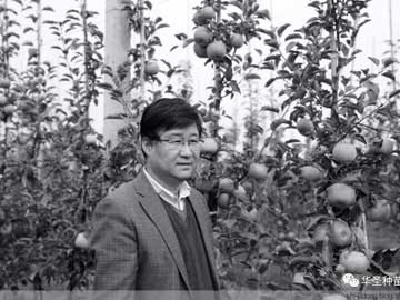 滚球买球的app官网