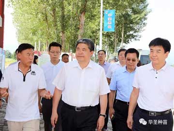 滚球买球的app官网