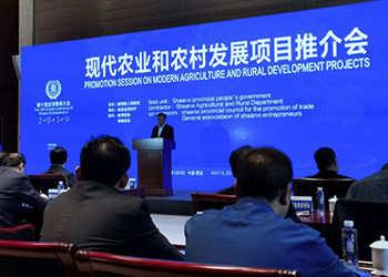 滚球买球的app官网