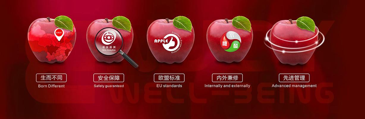 滚球买球的app官网