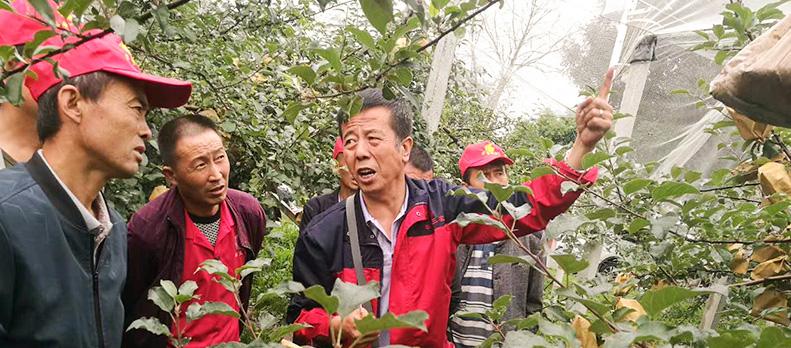 滚球买球的app官网