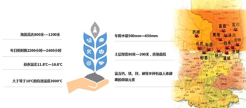 滚球买球的app官网