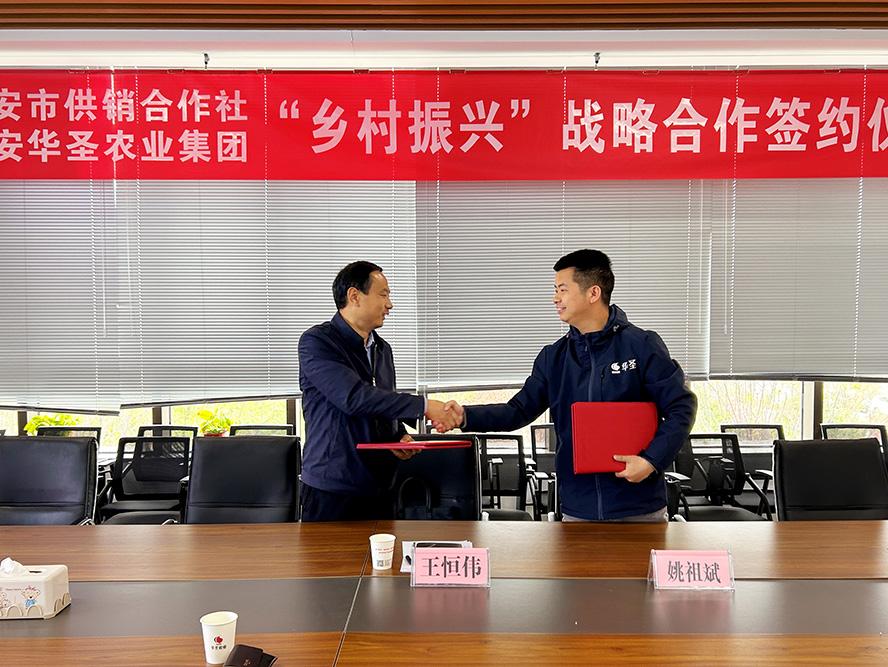 滚球买球的app官网