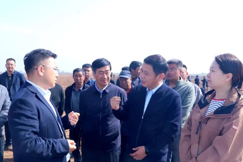 滚球买球的app官网