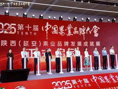 滚球买球的app官网