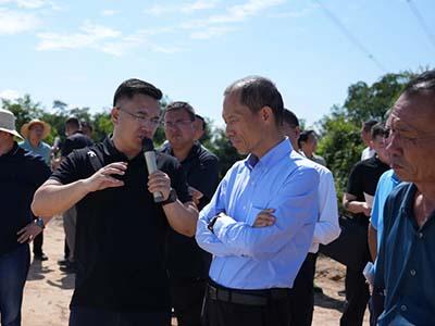滚球买球的app官网