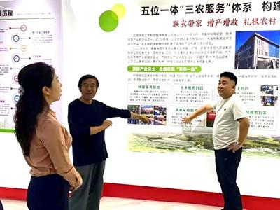 滚球买球的app官网
