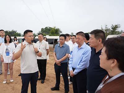 滚球买球的app官网