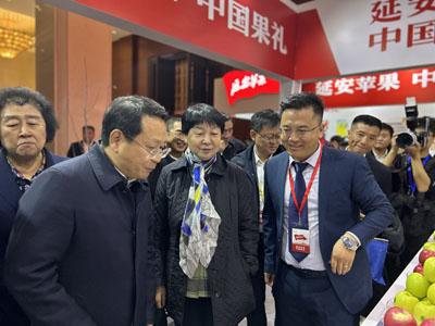 滚球买球的app官网