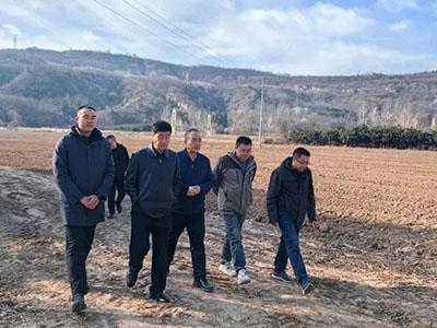 滚球买球的app官网