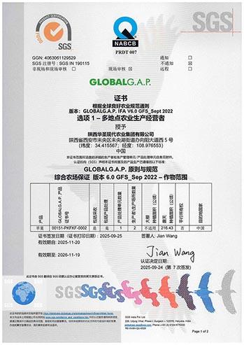 滚球买球的app官网