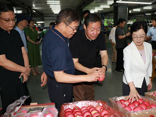 滚球买球的app官网