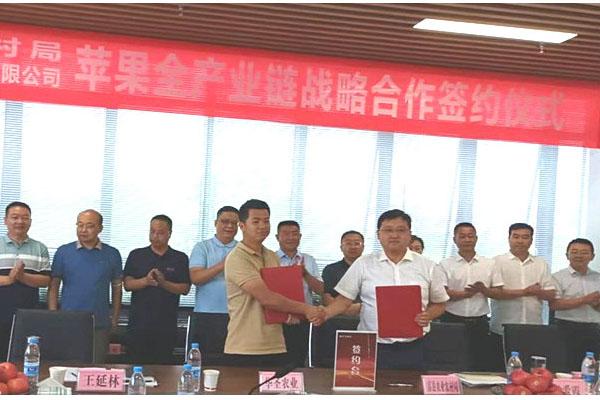 滚球买球的app官网
