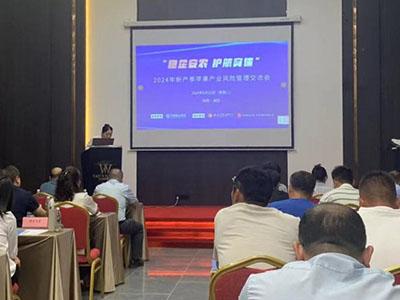滚球买球的app官网