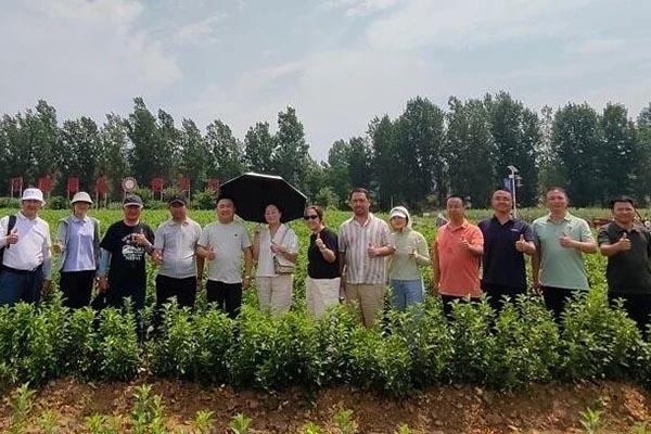滚球买球的app官网