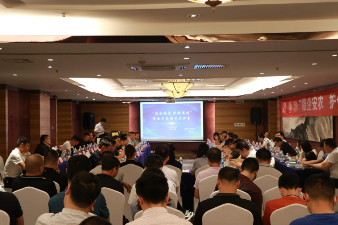 滚球买球的app官网