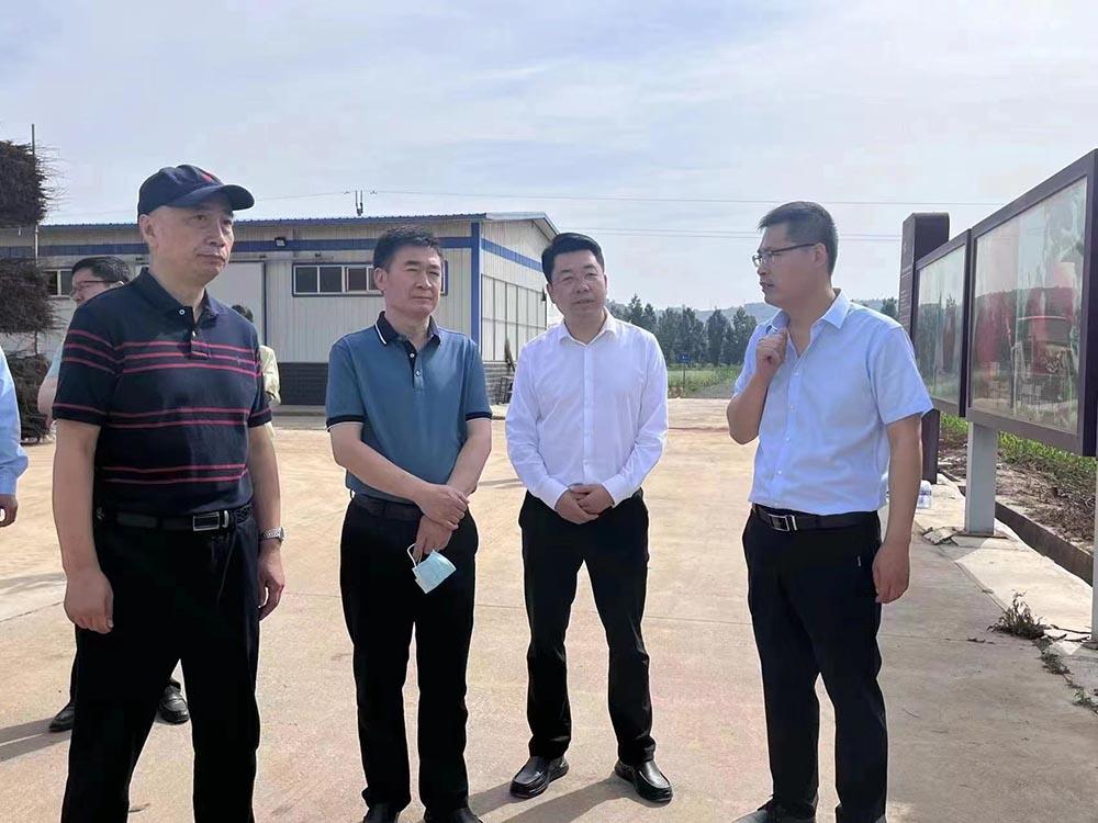 滚球买球的app官网