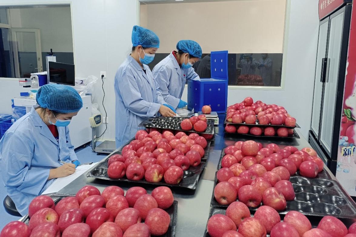 滚球买球的app官网