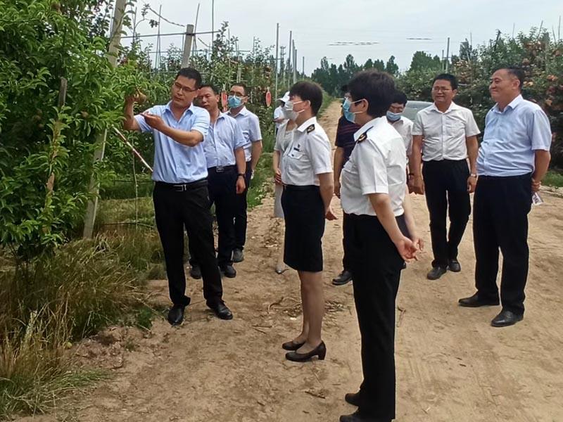 滚球买球的app官网