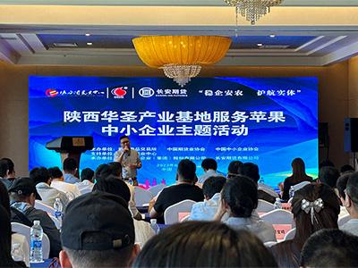 滚球买球的app官网
