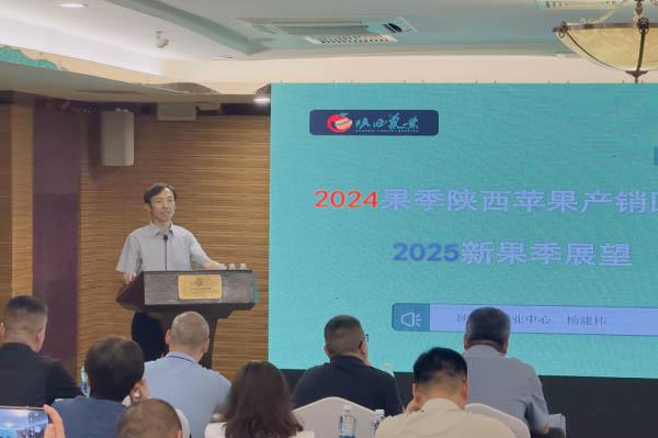 滚球买球的app官网