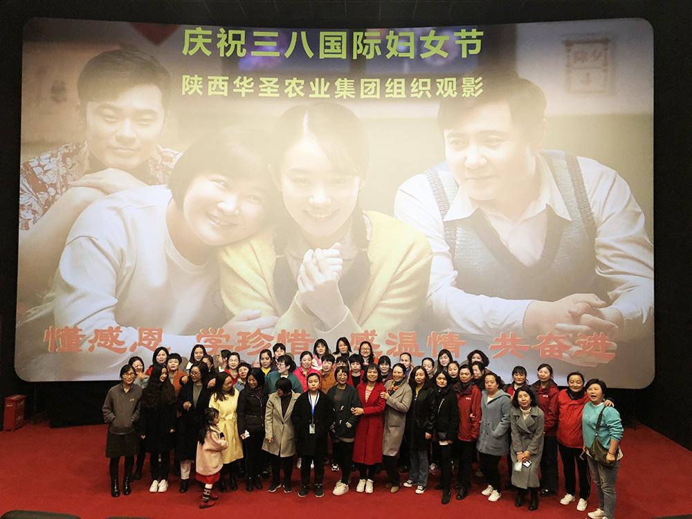 滚球买球的app官网