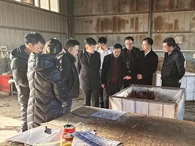 滚球买球的app官网