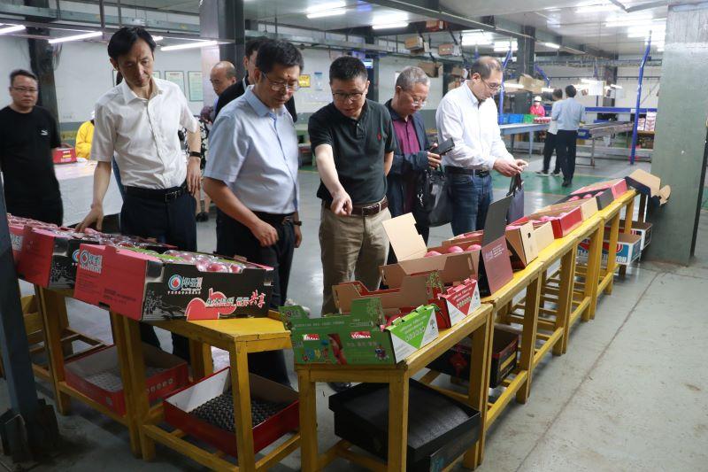 滚球买球的app官网