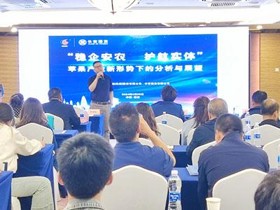滚球买球的app官网