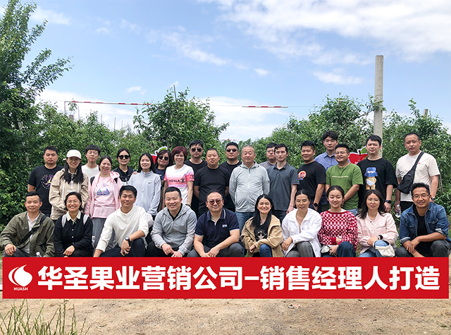 滚球买球的app官网