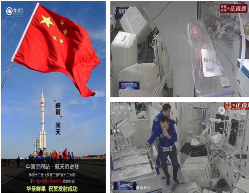 滚球买球的app官网
