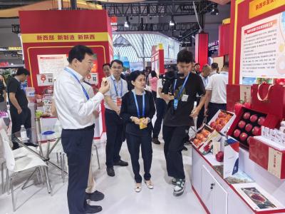 滚球买球的app官网