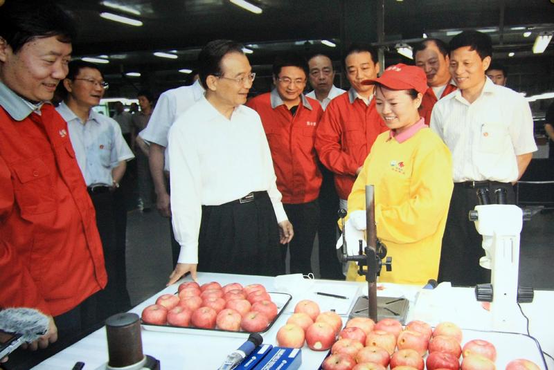 滚球买球的app官网